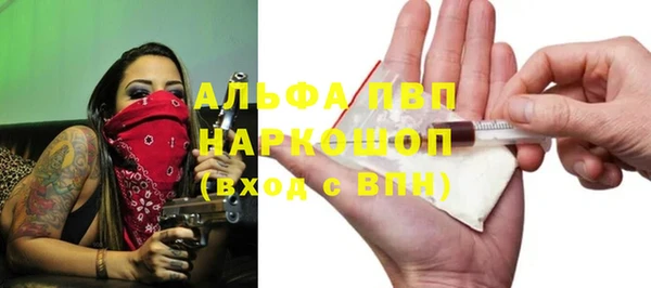 крисы Алзамай