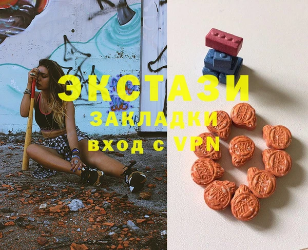 гашик Новозыбков
