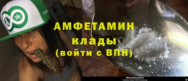 крисы Алзамай