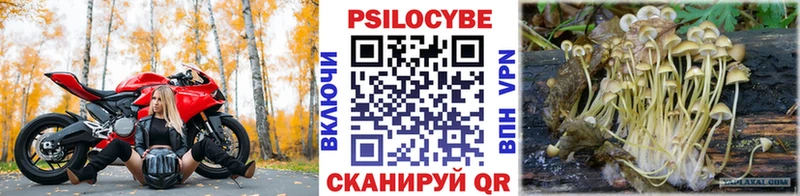 Псилоцибиновые грибы мицелий  купить   Оханск 